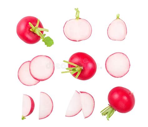 Set Of Fresh Whole And Sliced Radish Isolated On White Background Top