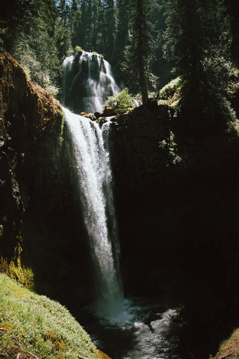 Images Gratuites arbre eau la nature Roche cascade région