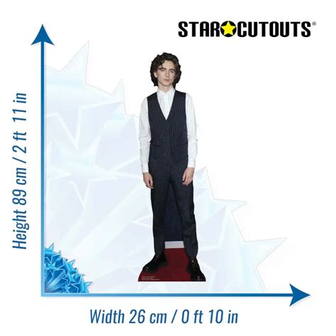 Timothée Chalamet Waistcoat American Actor Mini Cardboard Cutout