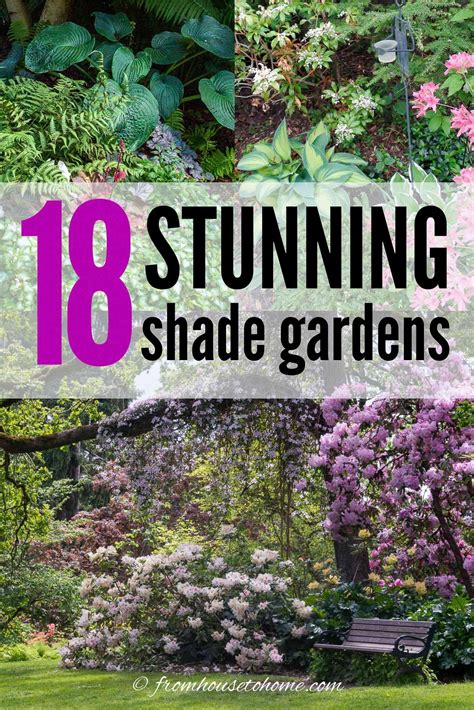 Shade Garden Design Ideas How To Design A Stunning Shade Garden With