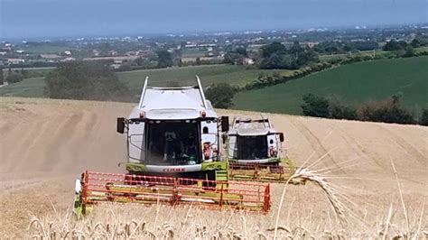 Claas Tucano Montana Lexion Trebbiatura Grano Youtube