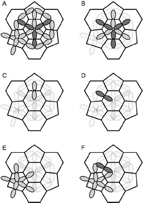 Projection Of A Portion Of The Icosahedral Surface Of The CCMV Capsid