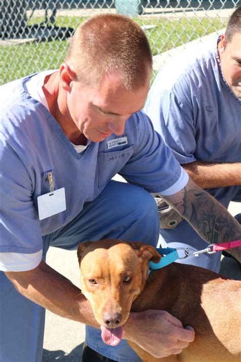 How dodge county inmates are training shelter dogs for adoption 26