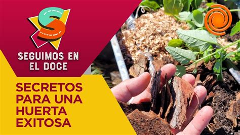 Huerta En Casa Qu Es El Mulching Y C Mo Beneficia Nuestros Cultivos