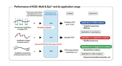 Kod Hot Start Dna Polymerase Protocol