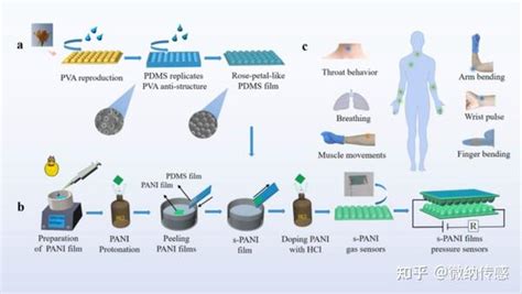 湖南农业大学刘碧桃周智《cej》：具有仿生微结构的柔性pani薄膜用于压力和氨气双功能传感 知乎