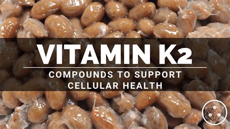 What Is Vitamin K2 An Exploration Of Its Benefits