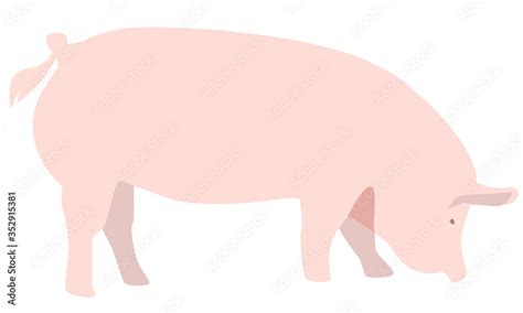 stock vektor adobe stock
