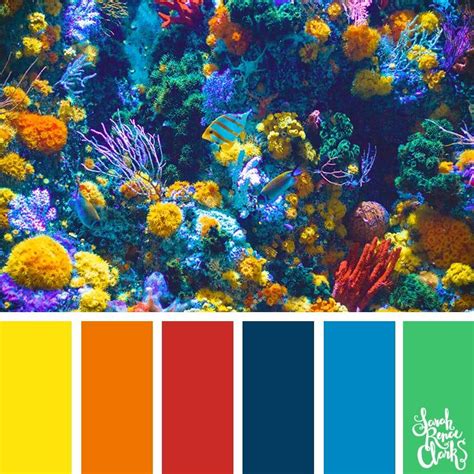 Src Living Coral Collection Beach Color Palettes Color Palette