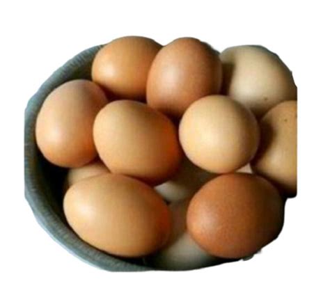 30 To 35 Gram Weight Fresh Brown Kadaknath Eggs With High Nutrititous Value Egg Origin Chicken