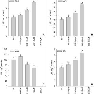 Effect Of Different Concentrations Of Cytokinins On Regeneration