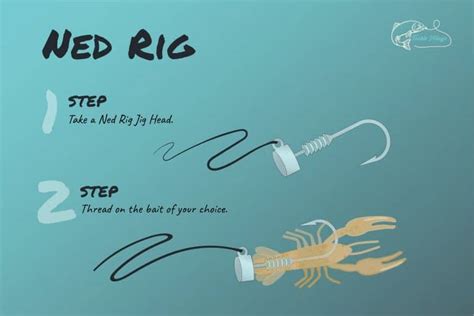 The Ned Rig How To Fish It And What Bass Baits To Use