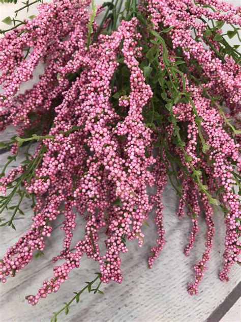 Pink Erica Berry Bush Kelea S Florals