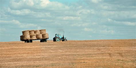 Atividades Econômicas Do Campo - Campo: o que é e as características das zonas rurais