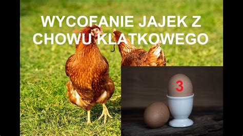 Odcinek 985 WYCOFANIE JAJEK Z CHOWU KLATKOWEGO Z DUŻYCH SKLEPÓW JAK TO