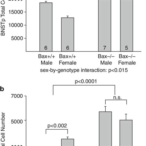 2 Bax Mediated Apoptosis Underlies Sex Differences In Cell Numbers In