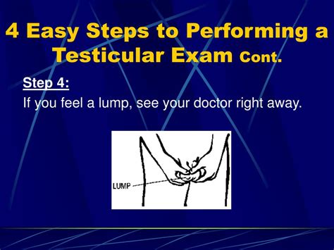 Ppt Reproductive Health Group 10 Chapter 19 Powerpoint Presentation Id772495