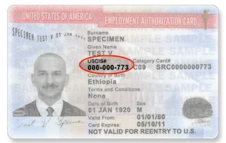 What Is An Employment Authorization Card - Us Employment Authorization ...