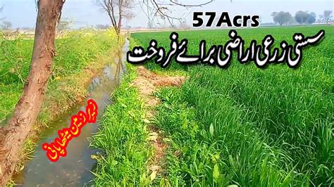 Agriculture Land For Sale In Punjab Pakistan Zari Rakba YouTube