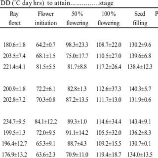 Effect Of Sowing Dates Intra Row Spacing And N Dose On Phenology Of