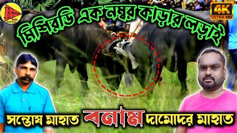 মিশিরডি এক নম্বর কাড়া লড়াইসন্তোষ মাহাত বনাম দামোদর মাহাতmisirdih