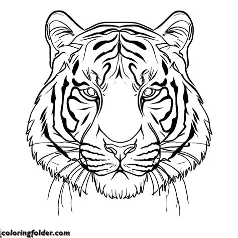 Tiger Face Coloring Pages With Downloadable PDF - Coloringfolder.com