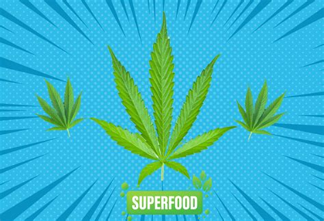 Cannabis Nutrients: The Surprising Superfood Qualities of the Cannabis ...