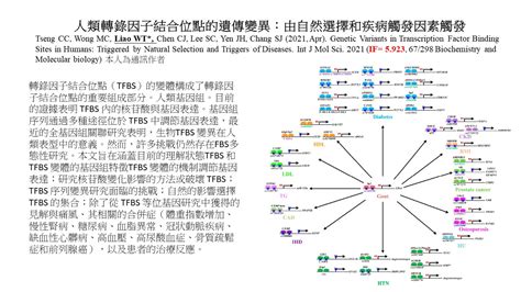 高雄醫學大學 生物科技學系 廖偉廷 教授 Wei Ting Liao