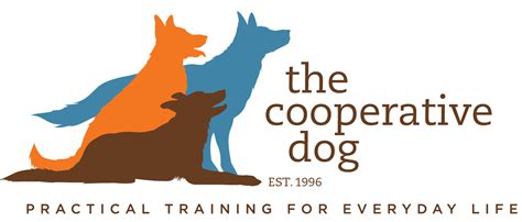 The Cooperative Dog | Brookline Dog Training & Behavior | Practical ...