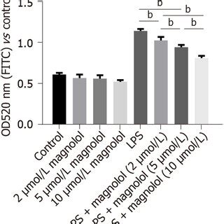 Effects Of Different Concentrations Of Magnolol On Caco Cell