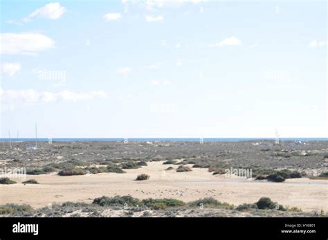 culatra island Portugal Stock Photo - Alamy