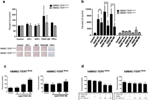 Pdgf Selectively Enhanced The Migration Of Hbmsc Tert Bone Versus