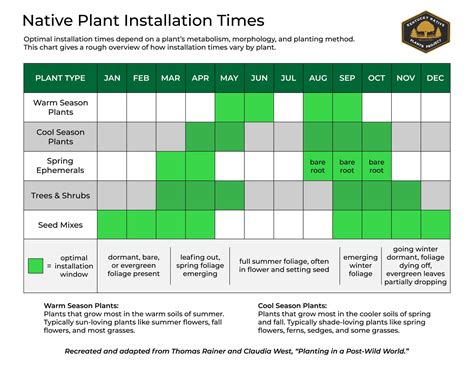 7 Mistakes Gardeners Make When Planting Native