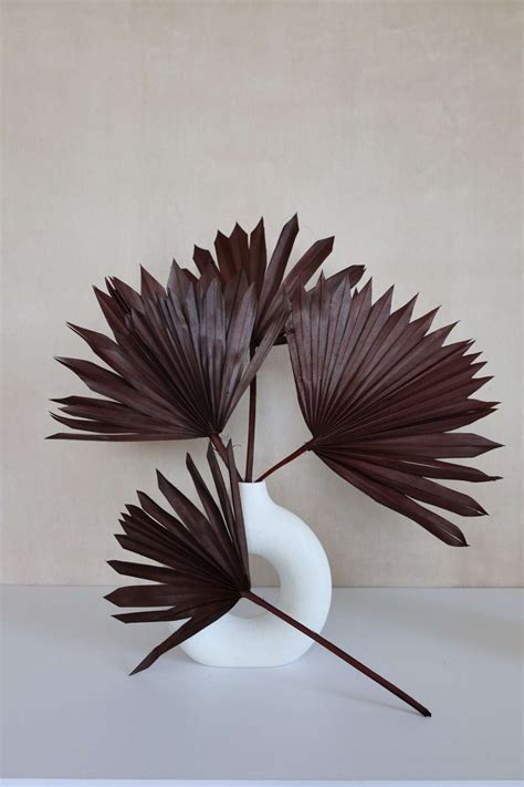 Dried Sun Palm Leaf Fans Flowerfantasee