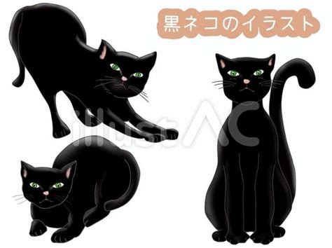 黒猫のイラストセットイラスト No 2583593／無料イラスト フリー素材なら「イラストac」