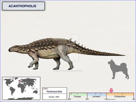 Acanthopholis By Cisiopurple On Deviantart Prehistoric Animals