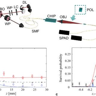 A Experimental Setup For Two Photon Measurements Two Photon