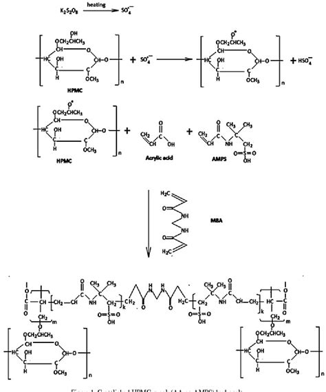 Figure 1 From Synthesis And In Vitro Characterization Of Hydroxypropyl Methylcellulose Graft