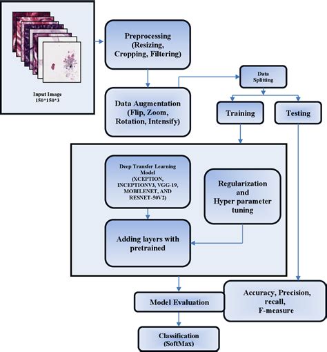 Figure From Leveraging Deep Learning For Automated Analysis Of