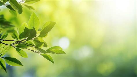 Sustainability Background Stock Photos, Images and Backgrounds for Free ...