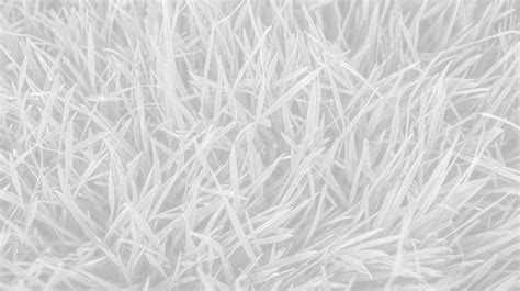 Grass Texture Clump PNG Transparent Images Free Download | Vector Files ...