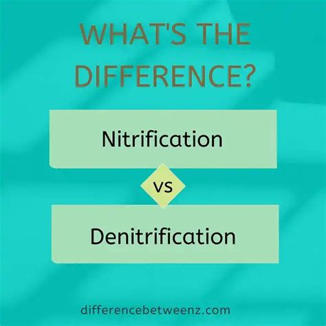 Difference between Nitrification and Denitrification - Difference Betweenz