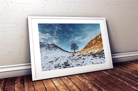 Sycamore Gap Winter - Northern Landscapes by Steven Iceton