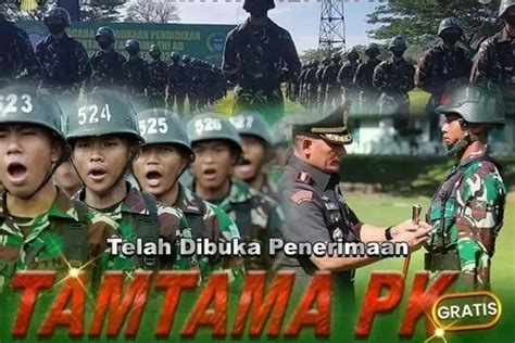 Gratis Pendaftaran Calon Bintara Pk Tni Au Dibuka Simak Alur