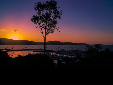 20+ Sunset At Whitehaven Beach Stock Photos, Pictures & Royalty-Free Images - iStock