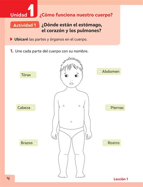 Cuaderno De Actividades Ciencias Naturales PDF