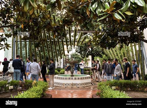 Flores De Bornay Espa A Con Mobilis En Mobili En Cordoba Diputation