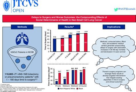 Summary of the methods, results, and implications of this study. NSCLC,... | Download Scientific ...