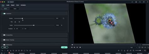 Transform Videos In Filmora