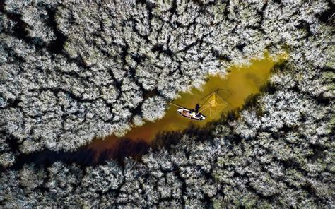 20 Winning Photos Of Mangrove Photography Awards 2022